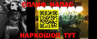 эйфоретик Ачхой-Мартан