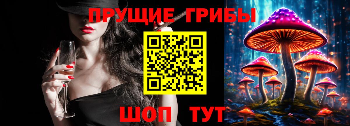 Псилоцибиновые грибы GOLDEN TEACHER Керчь