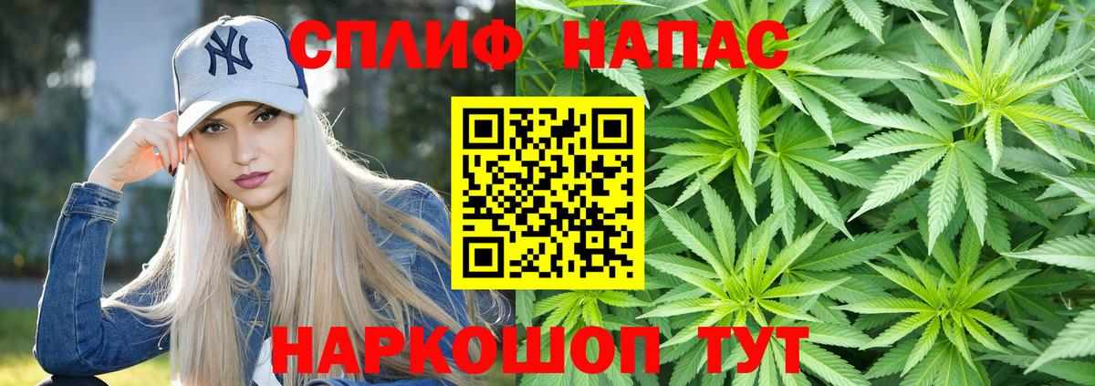 Бошки марихуана White Widow  Каннабис план  Вход с VPN  Керчь 